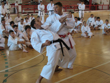 il maestro Pietro Antonacci, shotokan, in un'applicazione di karate "reale"