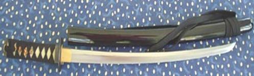 HANWEI PRACTICAL WAKIZASHI