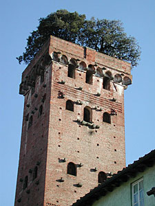 Lucca Tourism.eu - Torre Guinigi