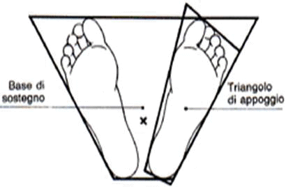 BASE DI SOSTEGNO E TRIANGOLO D'APPOGGIO