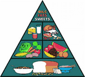 la piramide dell'alimentazione