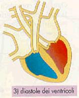 diastole dei ventricoli