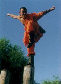 monaco Shaolin