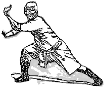 posizione kung fu